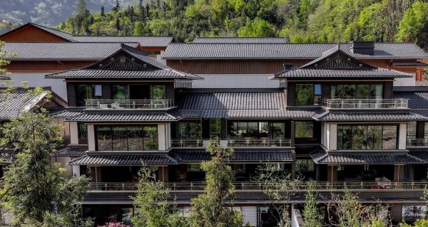 端午情牵嘉州，乡情汇聚同心——成都乐山商会共叙桑梓情